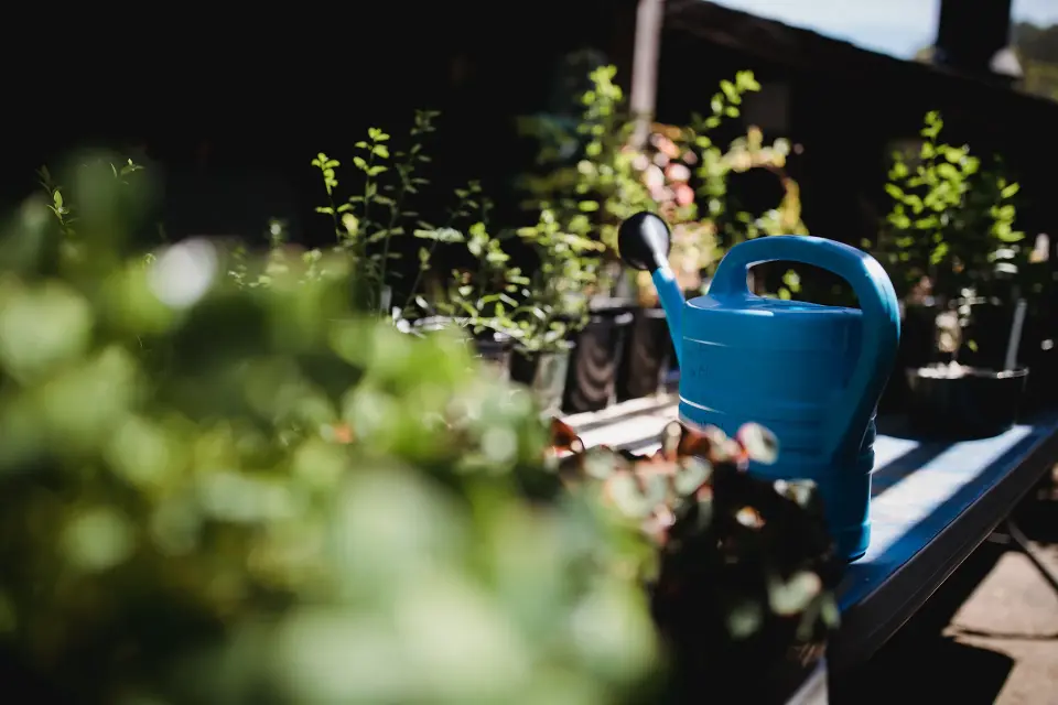 Bac online planten water geven