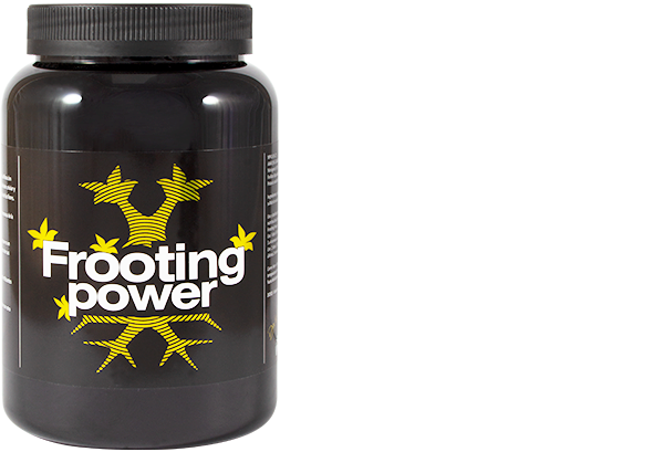 Silica Power Silica Power